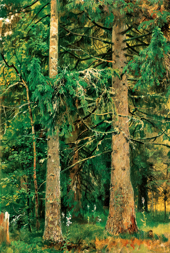  伊凡·伊凡诺维奇·希施金 Ivan I. Shishkin —— Ivan Shishkin-030